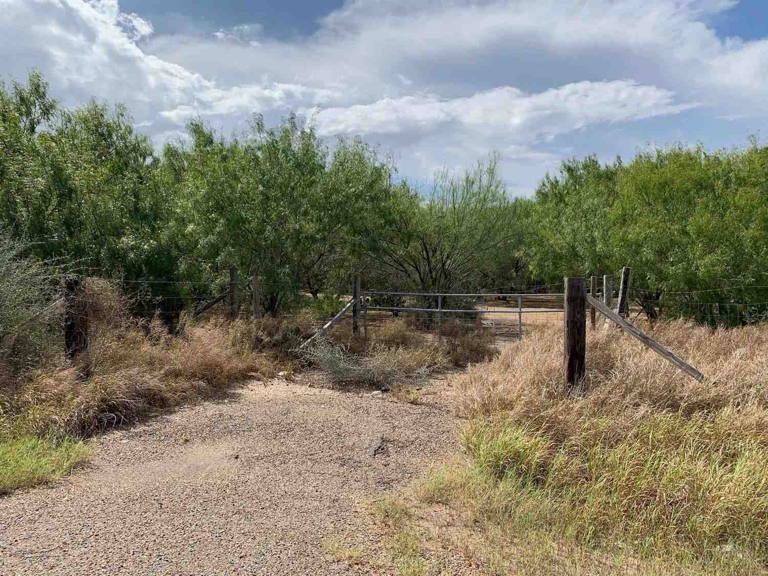 Online Auction Vacant Land (off N. Schuerbach Road) in Mission, Texas